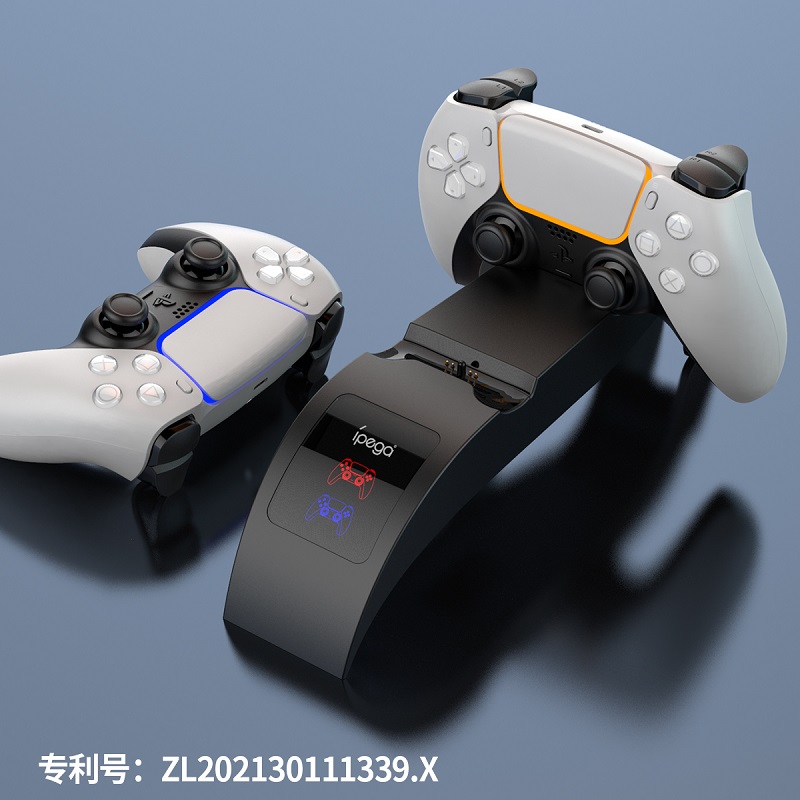  PG-P5016 P5 Rainbow Bridge Dual Charge